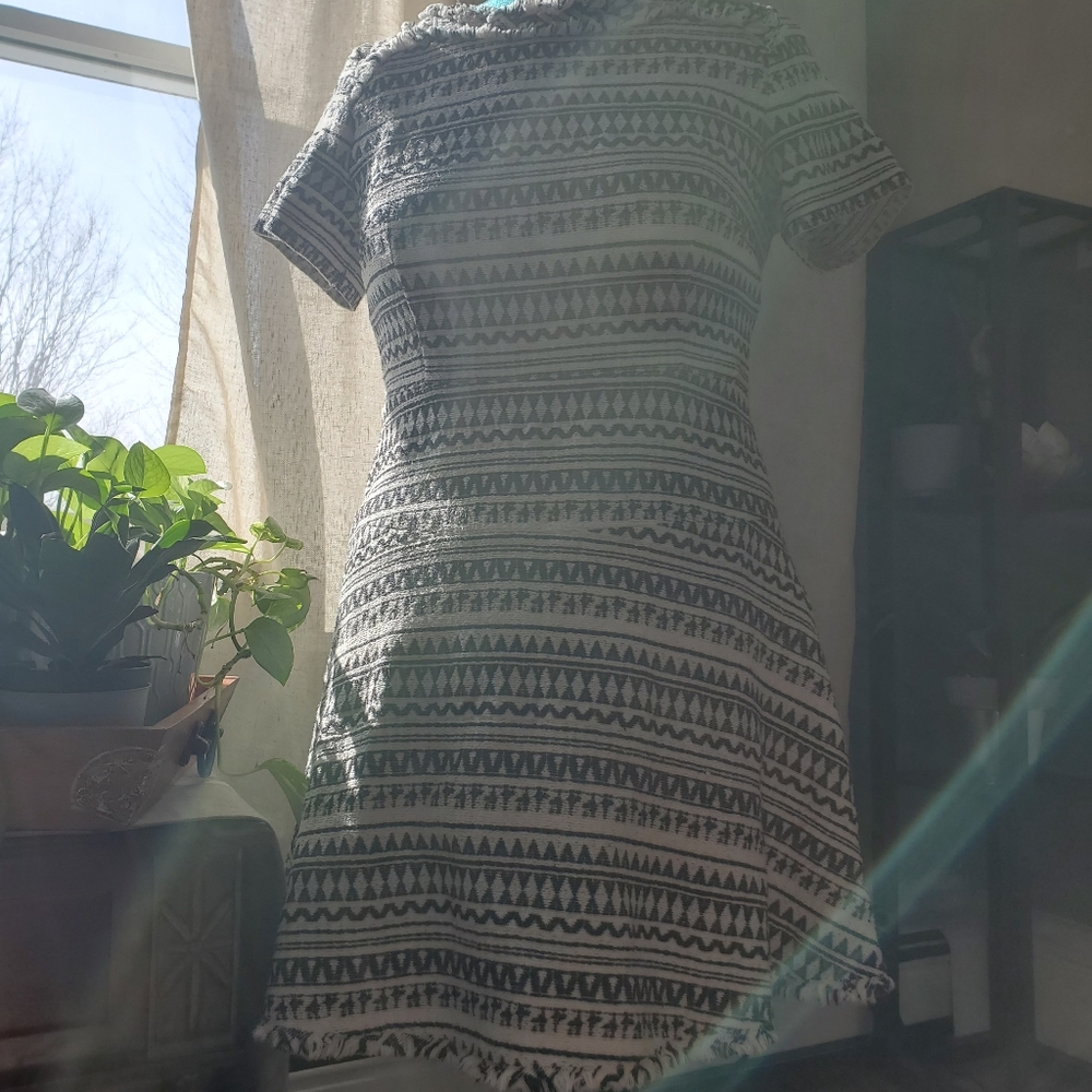 Banana Republic black and white dress